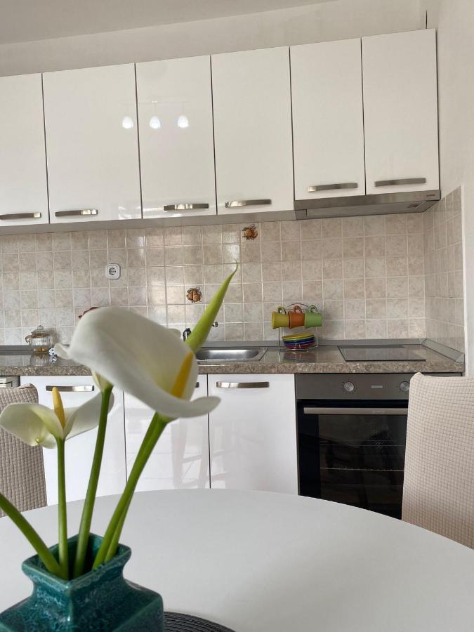 Studio Apartment Novak Čilipi エクステリア 写真